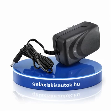 Univerzális általános töltő 24V 1000mA