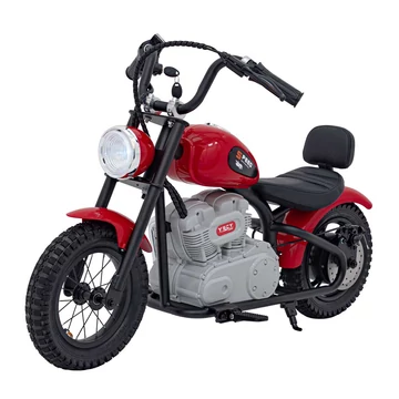 Elektromos Motor SPEED A9902 Power 24V 250W