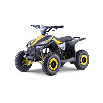 Quad HIPERFECT ATV-11E 48V 1000W