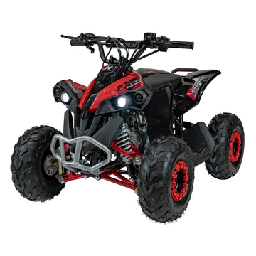 Quad Renegade 110cc benzines