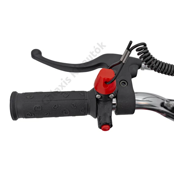 Renegade 50R 49cc benzines Mini Dirt motor