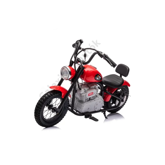 Elektromos Motor SPEED A9902 Power 24V 250W