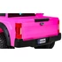 Ford Super Duty 12V