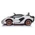 Lamborghini SIAN 12V