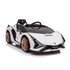Lamborghini SIAN 12V