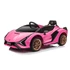 Lamborghini SIAN 12V