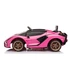 Lamborghini SIAN 12V