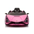 Lamborghini SIAN 12V