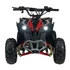 Quad Renegade 110cc benzines