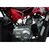 Quad Renegade 110cc benzines