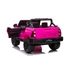 Toyota Hilux 4x4 12V