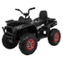 Quad ATV Desert 12V