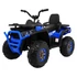Quad ATV Desert 12V