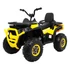 Quad ATV Desert 12V