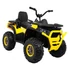 Quad ATV Desert XMX-607 12V