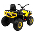Quad ATV Desert 12V