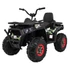 Quad ATV Desert 12V